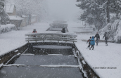 Χιονοπτωση στο παρκο Τριτση στην Αθηνα