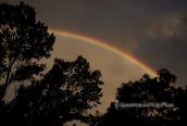 Rainbow after the rain