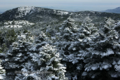 Parnitha mountain with snow