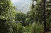 Landscape at Rodopi mountains