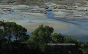 Vravrona wetlands