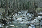 The stream at Metochi at Evia island