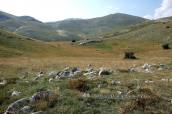 Landscape at Timfristos mountain