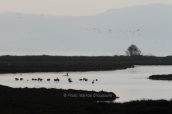 Landscape at Lesvos island