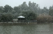 Snowing at Tritsis park at Athens