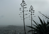 Athens covered by a cloud of dust