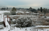 Tritsis park (Athens Attica) covered with snow