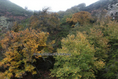 Landscape at Dimosaris gorge at Evia island