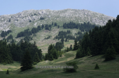 Greveno peak at Oeta mountain