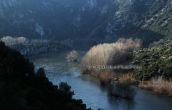 Landscape at Nestos river