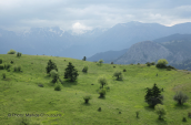 Landscape at Oeta mountain