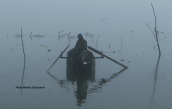 A fisherman at Kerkini lake