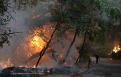 Forest fire at Attika region