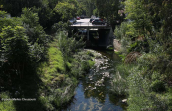 Podoniftis stream at Nea filadelfia(Athens)