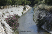 Kifisos river (Attica)