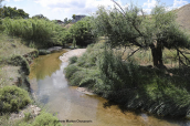 Kifisos river (Attica)