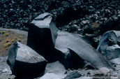 Volcanic rocks at the small island of Nea kameni at Santorini island, , Ηφαιστειο Σαντορινη Volcano Santorini